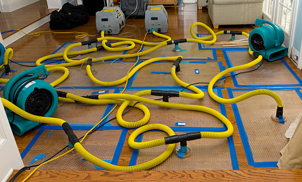 Professional Water Extraction technician working in New Manchester, WV